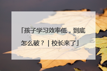 孩子学习效率低，到底怎么破？｜校长来了