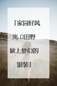 家园好风光 ⎮田野披上梦幻的银装