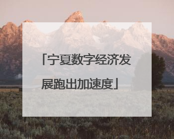 宁夏数字经济发展跑出加速度