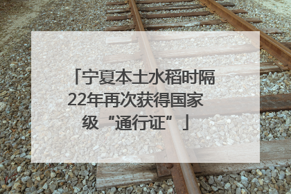 宁夏本土水稻时隔22年再次获得国家级“通行证”