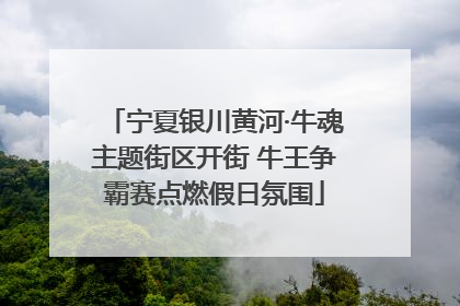宁夏银川黄河·牛魂主题街区开街 牛王争霸赛点燃假日氛围