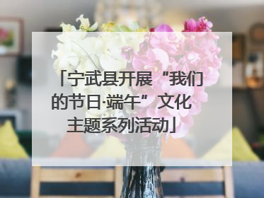 宁武县开展“我们的节日·端午”文化主题系列活动