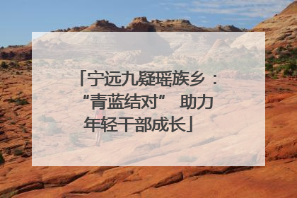 宁远九疑瑶族乡：“青蓝结对” 助力年轻干部成长
