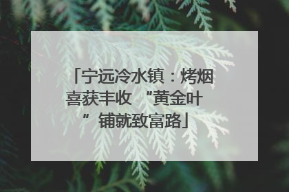 宁远冷水镇：烤烟喜获丰收 “黄金叶”铺就致富路