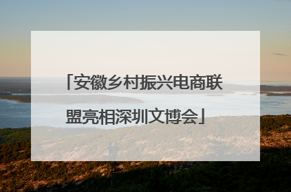 安徽乡村振兴电商联盟亮相深圳文博会