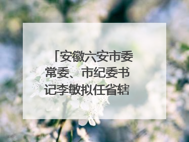 安徽六安市委常委、市纪委书记李敏拟任省辖市市委副书记