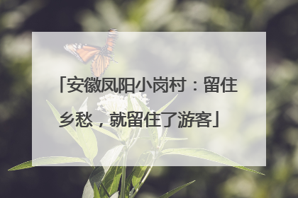安徽凤阳小岗村：留住乡愁，就留住了游客