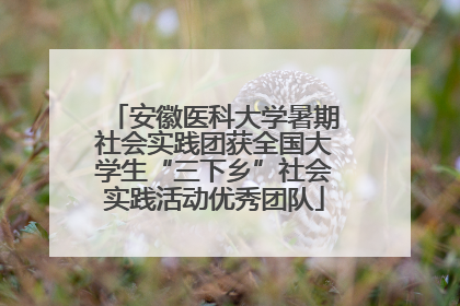 安徽医科大学暑期社会实践团获全国大学生“三下乡”社会实践活动优秀团队