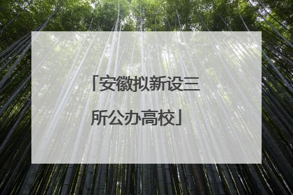 安徽拟新设三所公办高校