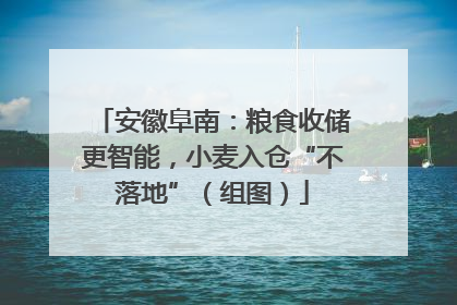 安徽阜南：粮食收储更智能，小麦入仓“不落地”（组图）