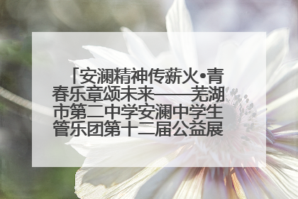 安澜精神传薪火•青春乐章颂未来——芜湖市第二中学安澜中学生管乐团第十二届公益展演圆满举行
