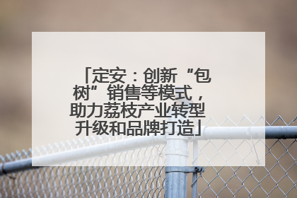定安：创新“包树”销售等模式，助力荔枝产业转型升级和品牌打造