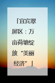 宜宾翠屏区：万亩荷塘绽放“美丽经济”