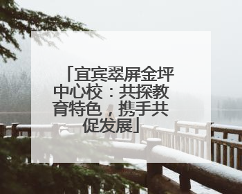 宜宾翠屏金坪中心校：共探教育特色，携手共促发展