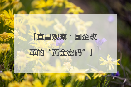 宜昌观察：国企改革的“黄金密码”