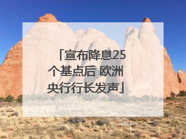 宣布降息25个基点后 欧洲央行行长发声