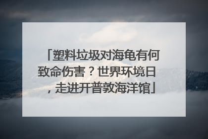 塑料垃圾对海龟有何致命伤害？世界环境日，走进开普敦海洋馆