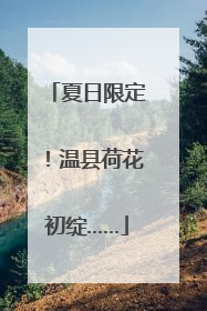 夏日限定！温县荷花初绽……