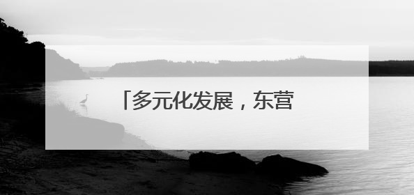 多元化发展，东营新户镇盐场、渔业和新能源产业并进