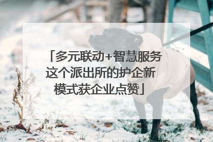 多元联动+智慧服务 这个派出所的护企新模式获企业点赞
