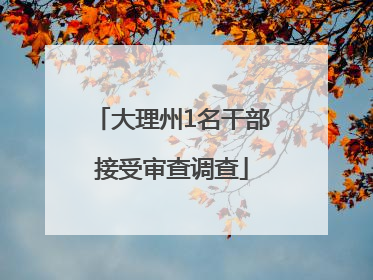 大理州1名干部接受审查调查