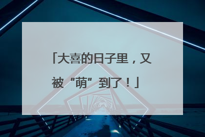 大喜的日子里，又被“萌”到了！
