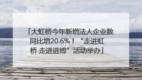 大虹桥今年新增法人企业数同比增20.6%！“走进虹桥 走进进博”活动举办