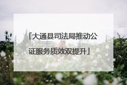 大通县司法局推动公证服务质效双提升
