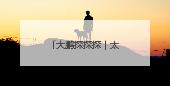 大鹏探探探｜太行山深处竟藏着一个“石头王国”
