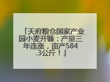 天府粮仓国家产业园小麦开镰：产量三年连涨，亩产584.3公斤！