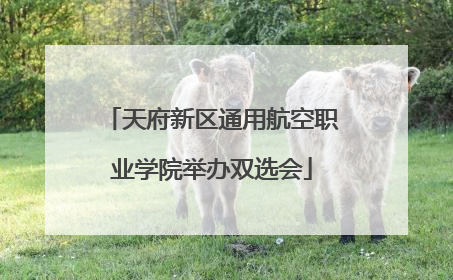 天府新区通用航空职业学院举办双选会