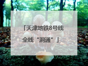 天津地铁8号线全线“洞通”