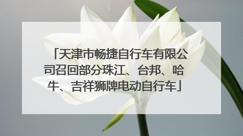 天津市畅捷自行车有限公司召回部分珠江、台邦、哈牛、吉祥狮牌电动自行车