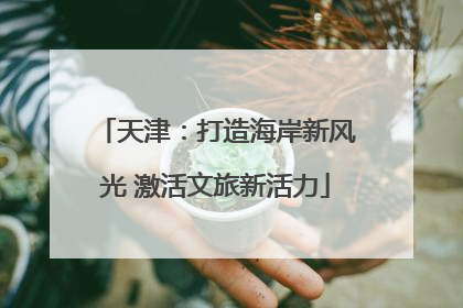 天津：打造海岸新风光 激活文旅新活力