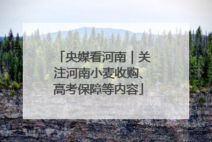 央媒看河南｜关注河南小麦收购、高考保障等内容