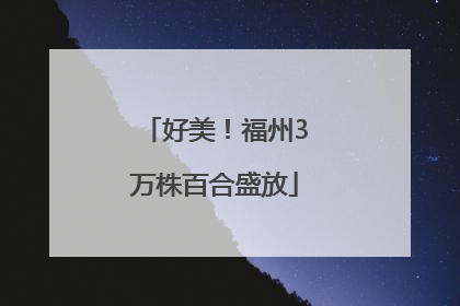 好美！福州3万株百合盛放