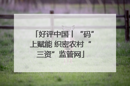 好评中国丨“码”上赋能 织密农村“三资”监管网