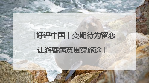 好评中国丨变期待为留恋 让游客满意贯穿旅途