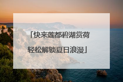 快来莲都碧湖赏荷 轻松解锁夏日浪漫