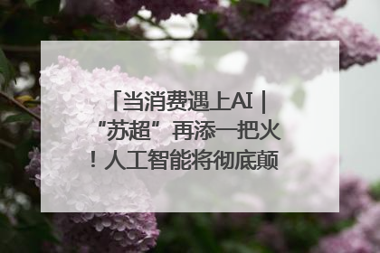 当消费遇上AI｜“苏超”再添一把火！人工智能将彻底颠覆绿茵场？