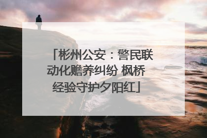 彬州公安：警民联动化赡养纠纷 枫桥经验守护夕阳红