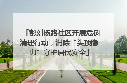 彭刘杨路社区开展危树清理行动，消除“头顶隐患”守护居民安全