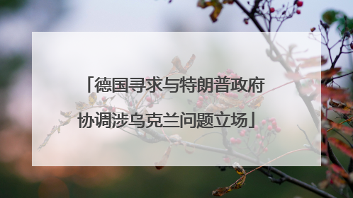 德国寻求与特朗普政府协调涉乌克兰问题立场