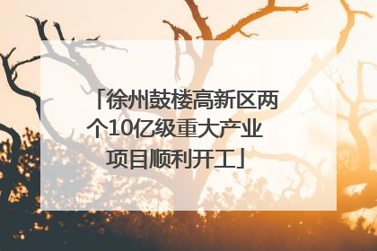 徐州鼓楼高新区两个10亿级重大产业项目顺利开工