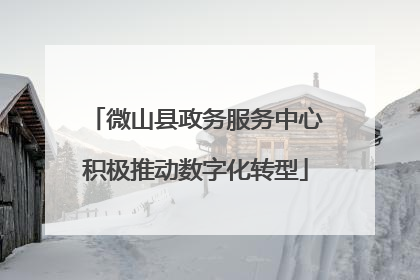 微山县政务服务中心积极推动数字化转型