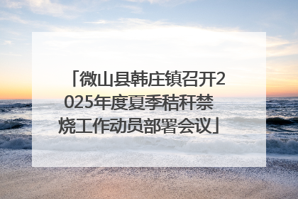 微山县韩庄镇召开2025年度夏季秸秆禁烧工作动员部署会议