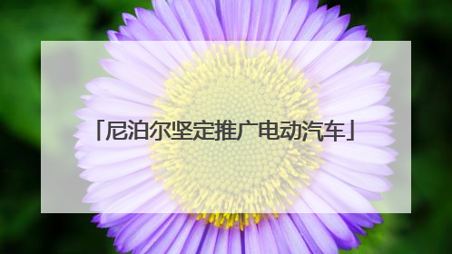 尼泊尔坚定推广电动汽车