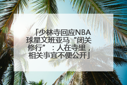少林寺回应NBA球星文班亚马“闭关修行”：人在寺里，相关事宜不便公开