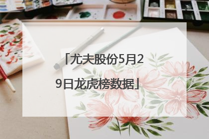 尤夫股份5月29日龙虎榜数据