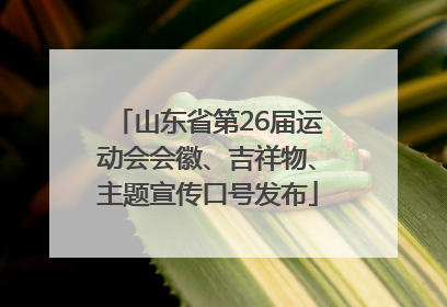 山东省第26届运动会会徽、吉祥物、主题宣传口号发布